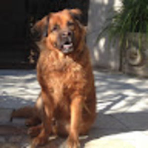 Meet your Posher, Jina